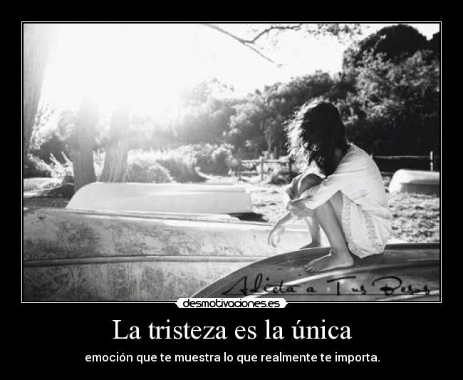 La tristeza es la única - 