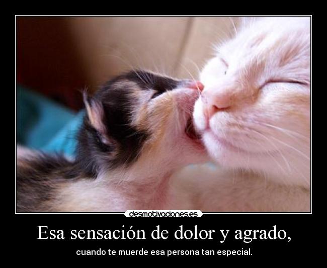 Esa sensación de dolor y agrado, - cuando te muerde esa persona tan especial.