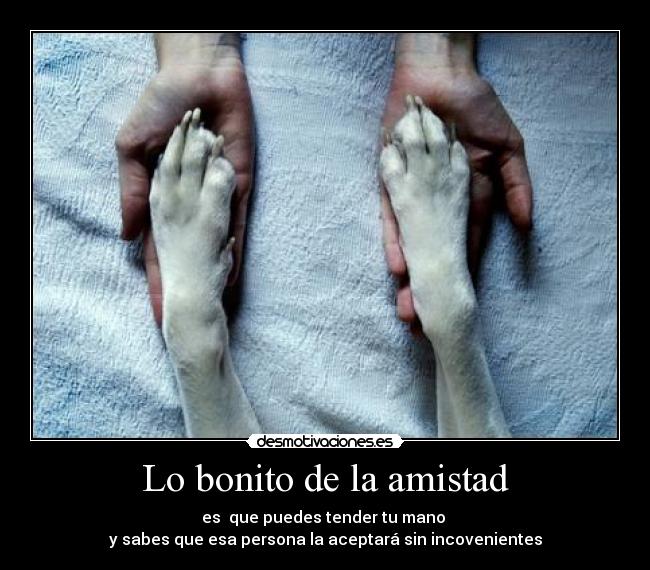 Lo bonito de la amistad - es  que puedes tender tu mano 
y sabes que esa persona la aceptará sin incovenientes