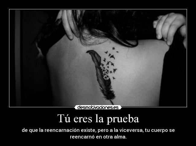 Tú eres la prueba -