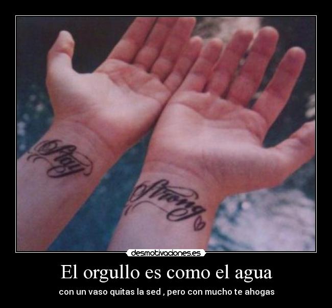 El orgullo es como el agua - con un vaso quitas la sed , pero con mucho te ahogas