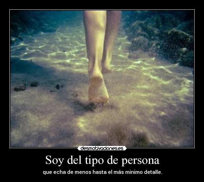 Soy del tipo de persona - que echa de menos hasta el más minimo detalle.