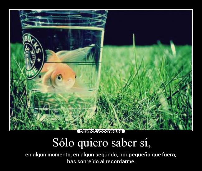 Sólo quiero saber sí, - en algún momento, en algún segundo, por pequeño que fuera, 
has sonreído al recordarme.