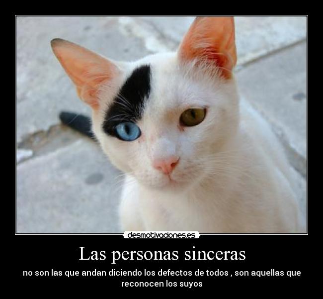 Las personas sinceras - no son las que andan diciendo los defectos de todos , son aquellas que
reconocen los suyos