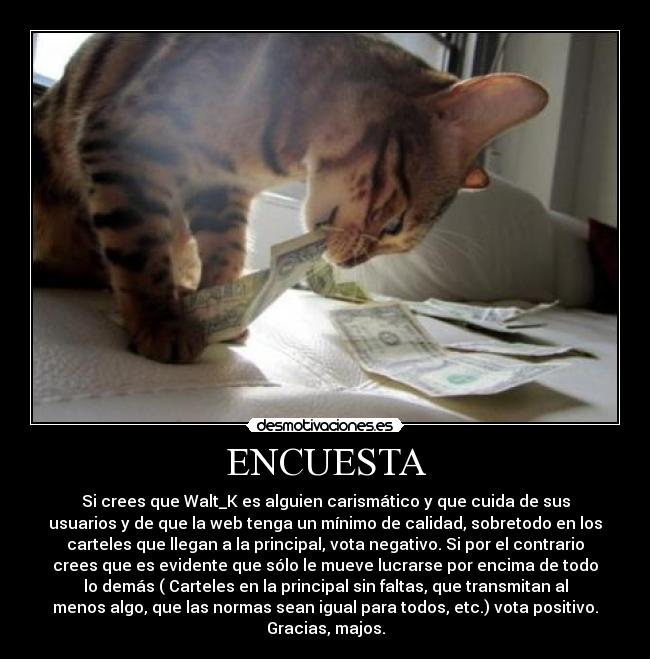 ENCUESTA - 