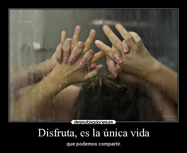 Disfruta, es la única vida - 