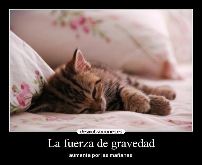 La fuerza de gravedad - aumenta por las mañanas.
