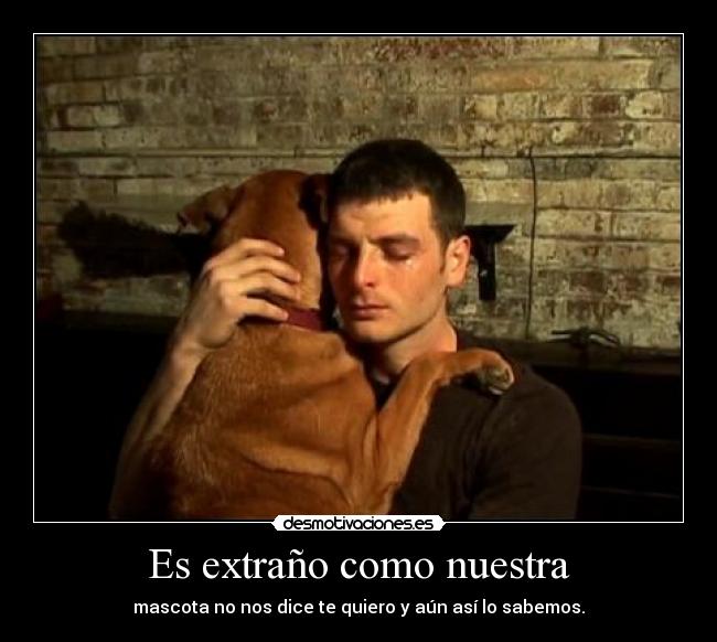 Es extraño como nuestra -