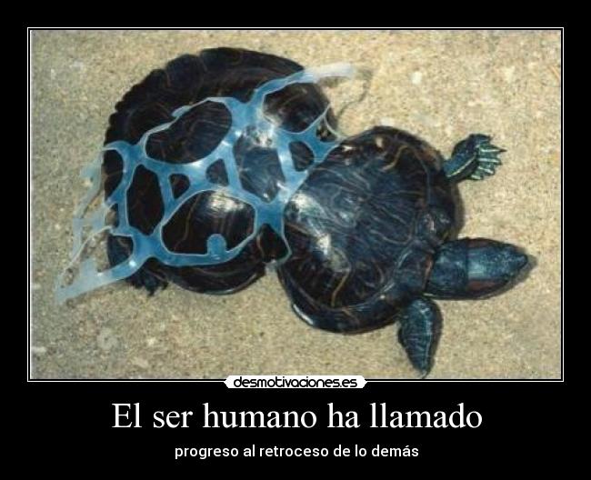 El ser humano ha llamado - 