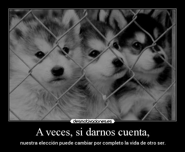 carteles hay que ser consciente que hacemos clankiwi familialemur desmomanada desmotivaciones