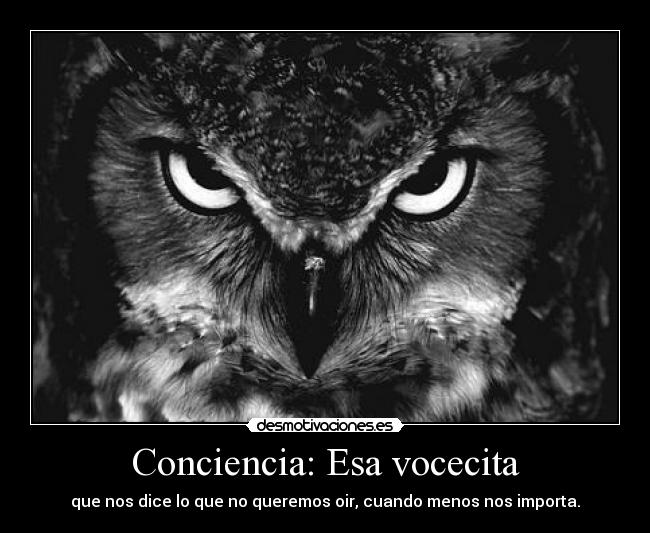 Conciencia: Esa vocecita - que nos dice lo que no queremos oir, cuando menos nos importa.