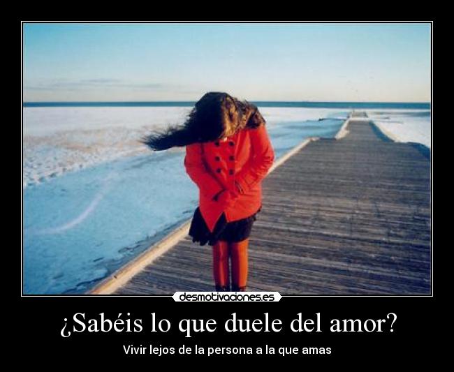 ¿Sabéis lo que duele del amor? - Vivir lejos de la persona a la que amas