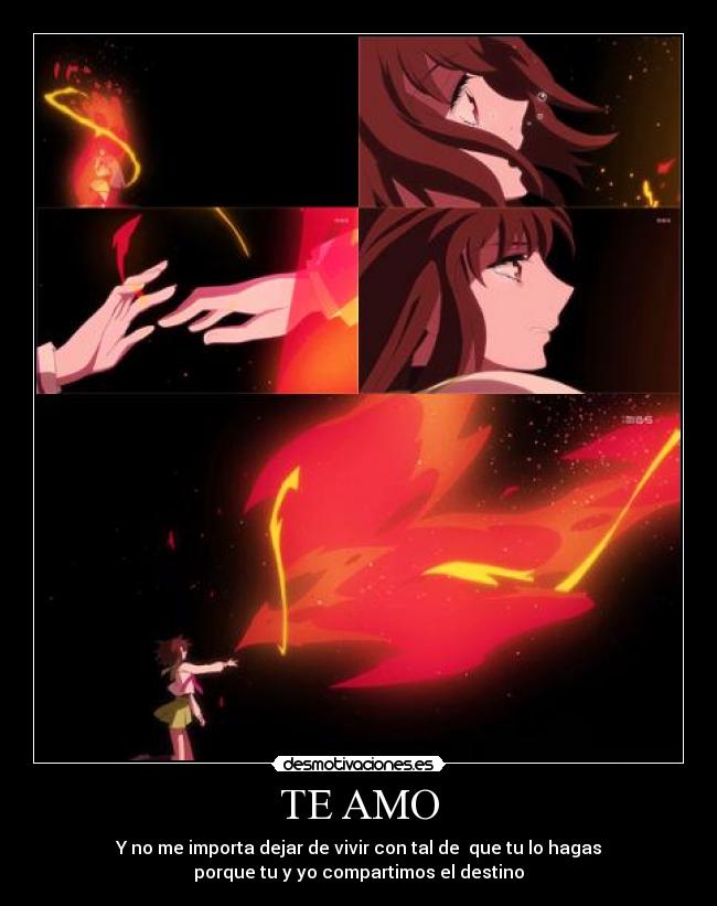 TE AMO - 