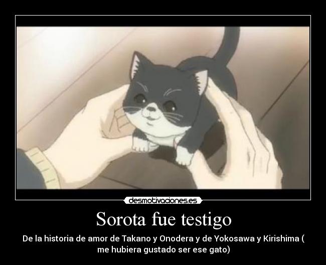 Sorota fue testigo - 