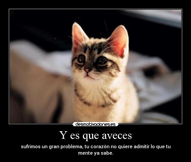 Y es que aveces - 