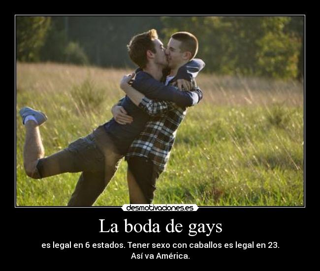 La boda de gays - es legal en 6 estados. Tener sexo con caballos es legal en 23.
Así va América.
