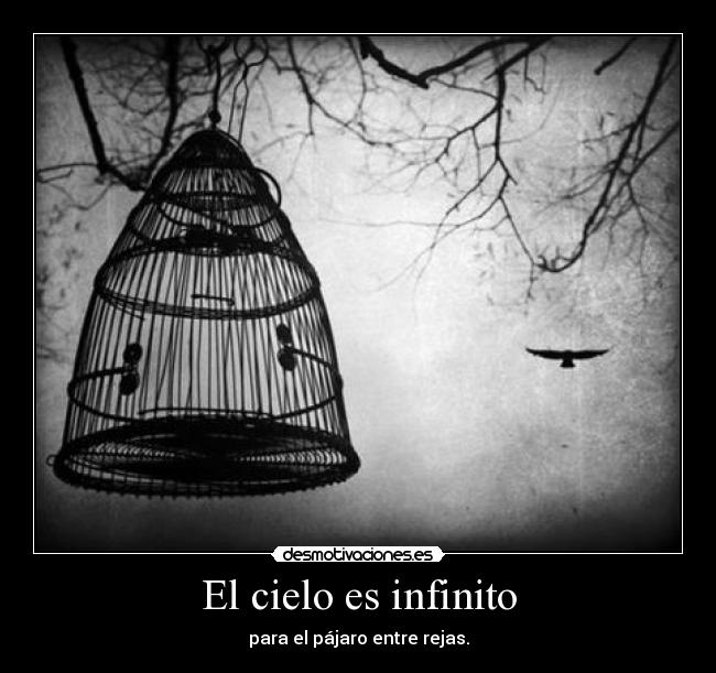 El cielo es infinito - para el pájaro entre rejas.