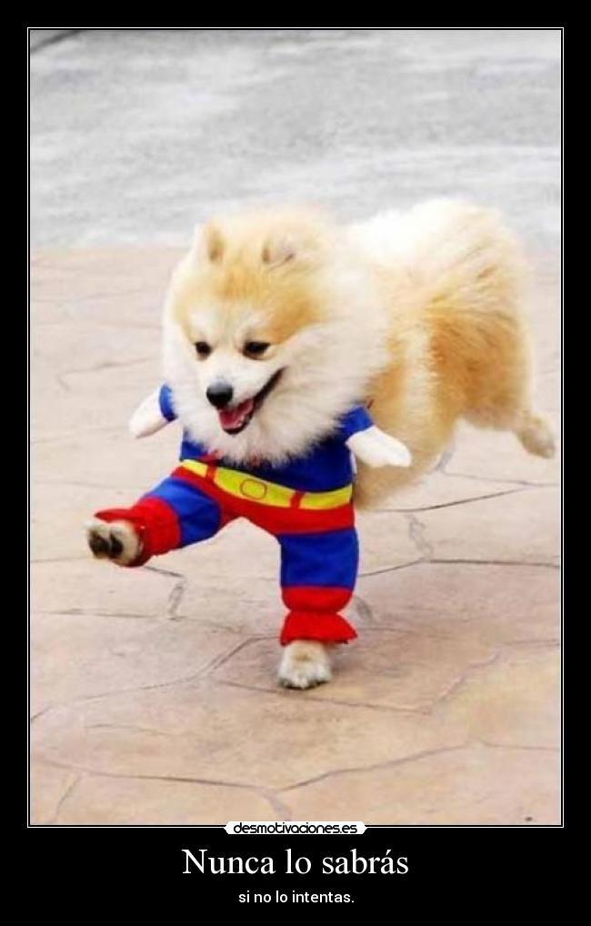 Nunca lo sabrás - si no lo intentas.