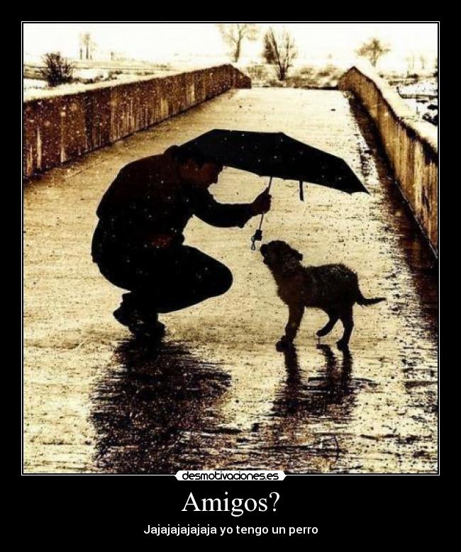 Amigos? -