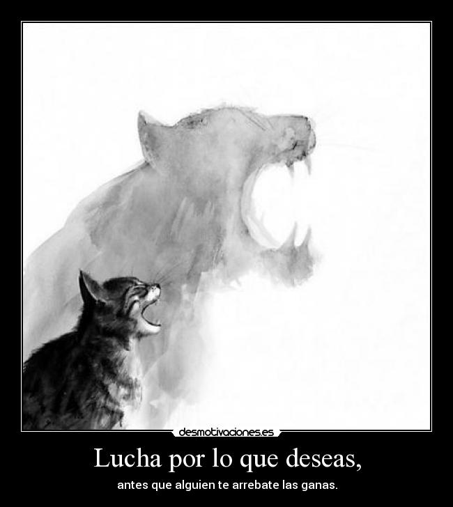 Lucha por lo que deseas, -