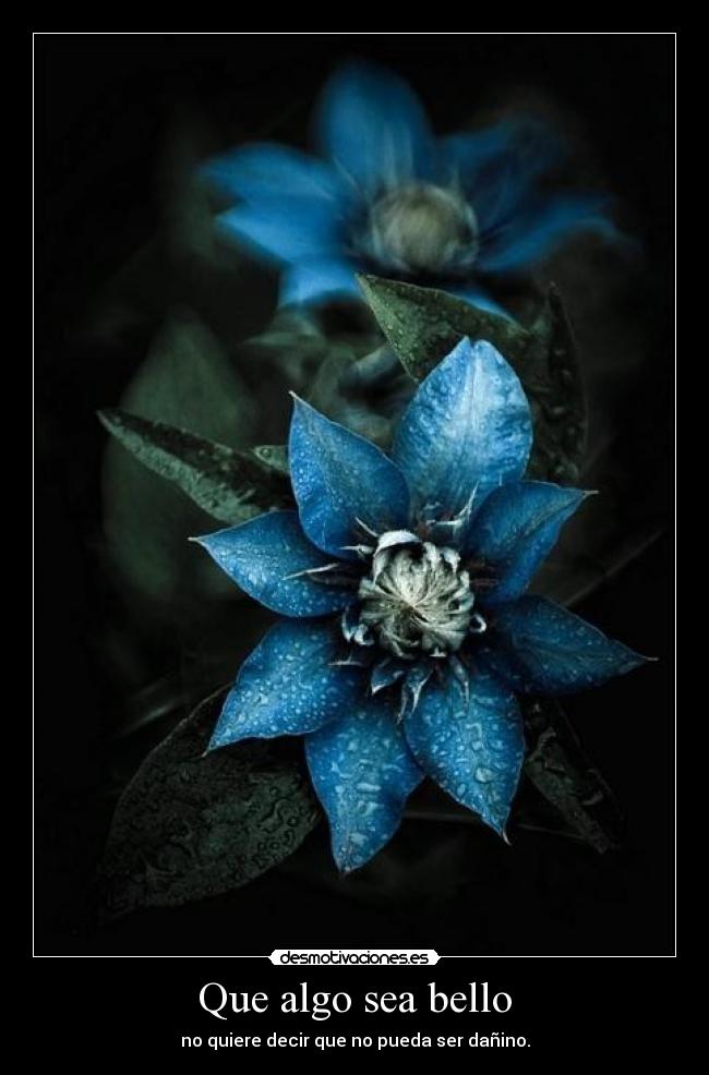 Que algo sea bello -