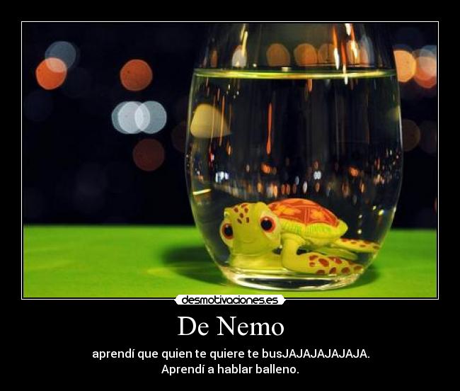 De Nemo - aprendí que quien te quiere te busJAJAJAJAJAJA.
Aprendí a hablar balleno.