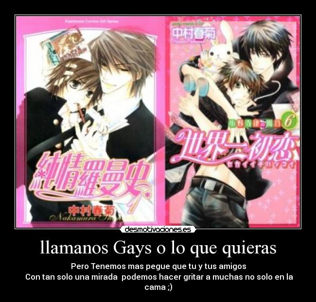 llamanos Gays o lo que quieras -