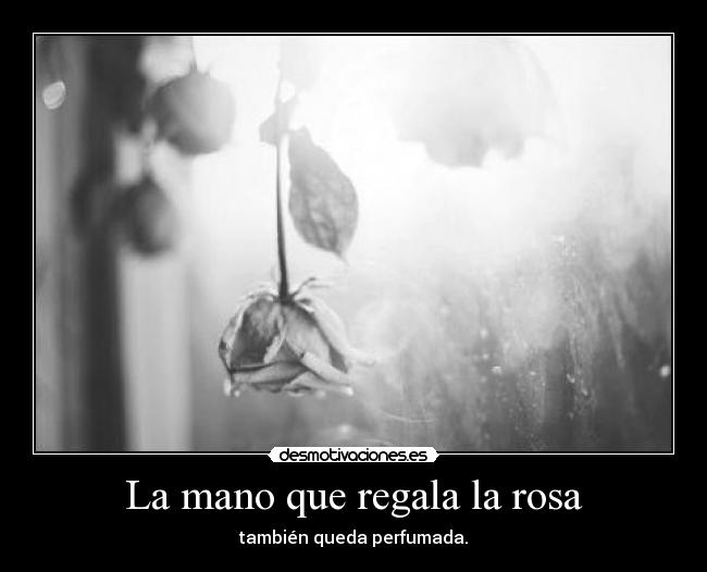 La mano que regala la rosa - 