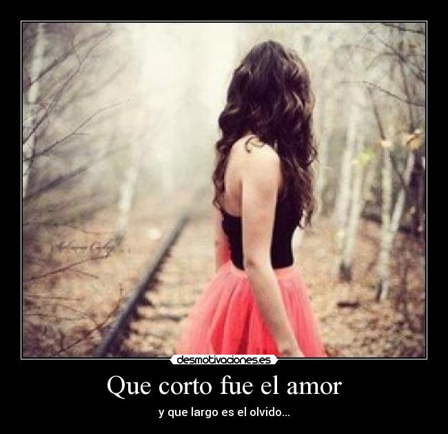 Que corto fue el amor - 
