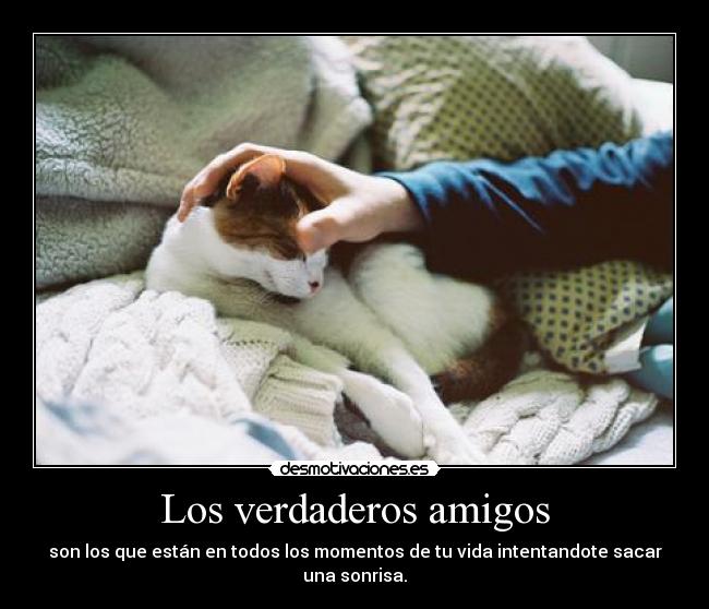 Los verdaderos amigos -