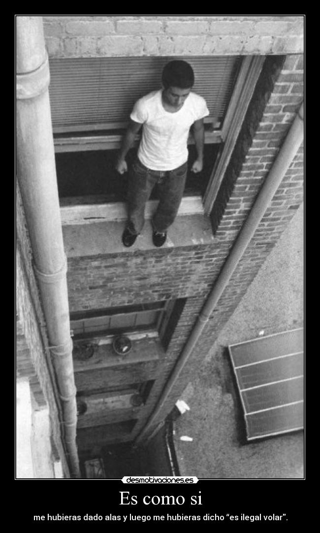 Es como si - me hubieras dado alas y luego me hubieras dicho “es ilegal volar.