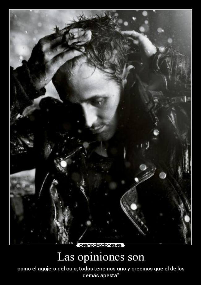 Las opiniones son - como el agujero del culo, todos tenemos uno y creemos que el de los demás apesta