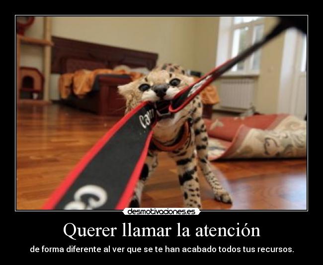 Querer llamar la atención -