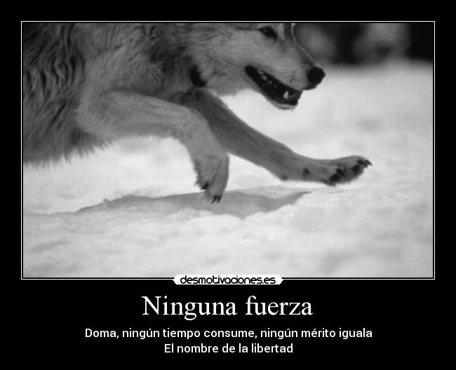 Ninguna fuerza - 