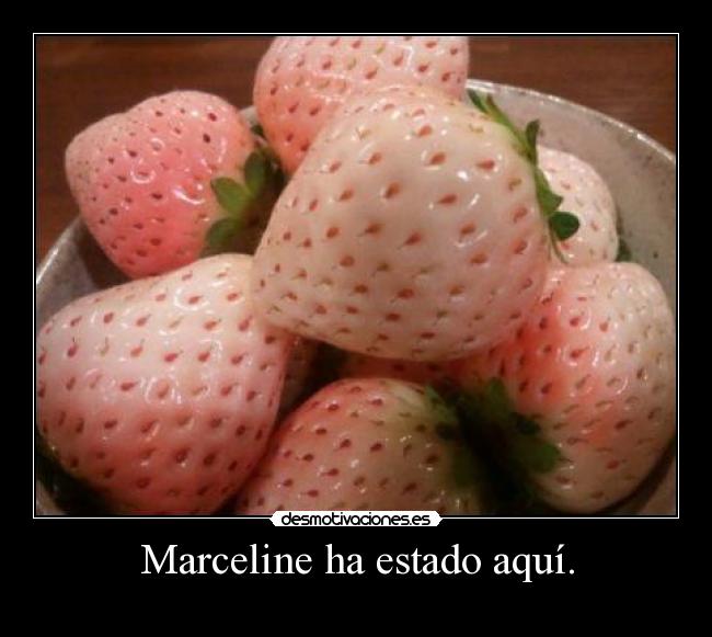 Marceline ha estado aquí. -