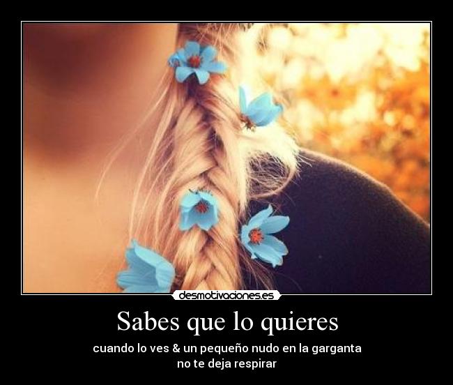 Sabes que lo quieres - cuando lo ves & un pequeño nudo en la garganta
no te deja respirar