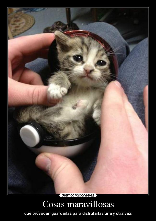 Cosas maravillosas - que provocan guardarlas para disfrutarlas una y otra vez.