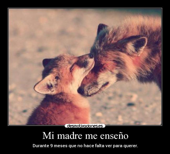 Mi madre me enseño - Durante 9 meses que no hace falta ver para querer.