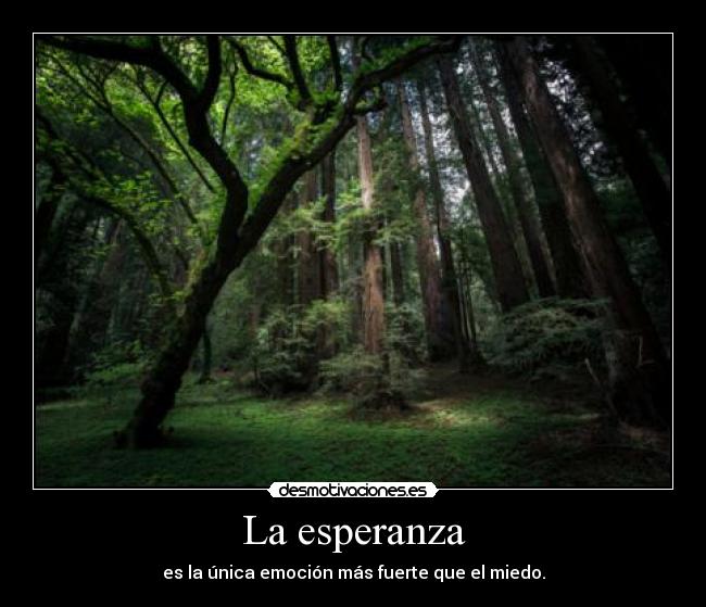 La esperanza - es la única emoción más fuerte que el miedo.