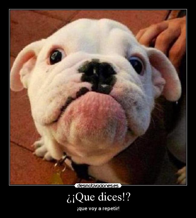 ¿¡Que dices!? - ¡que voy a repetir!