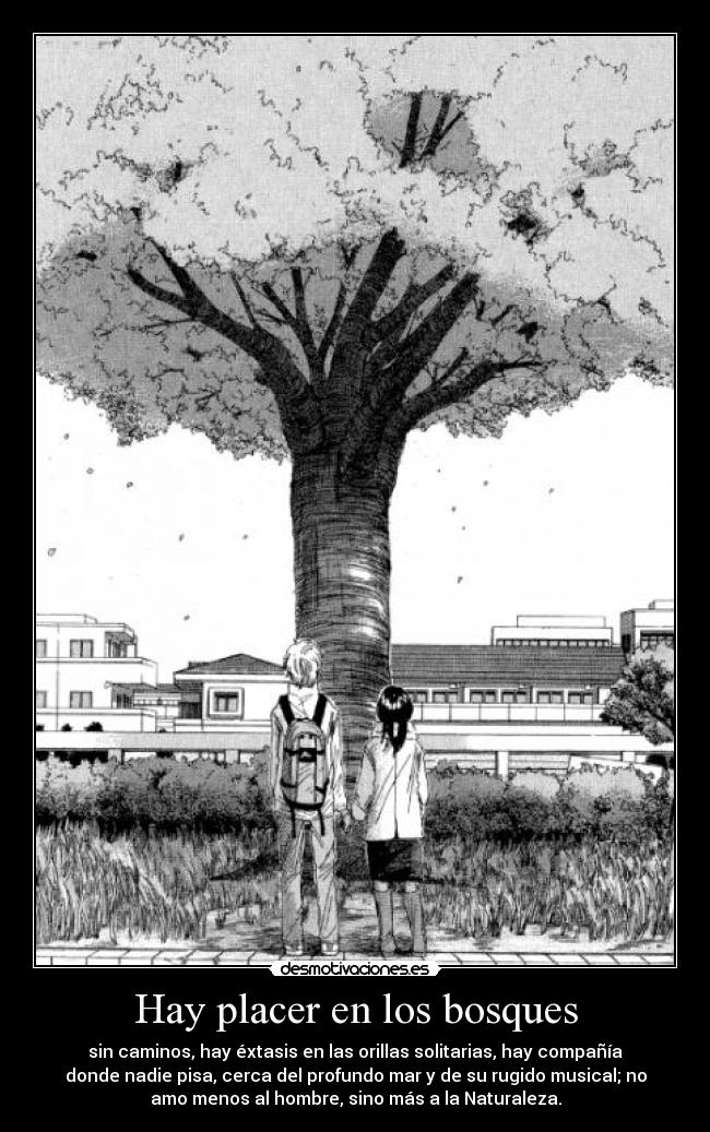 Hay placer en los bosques -