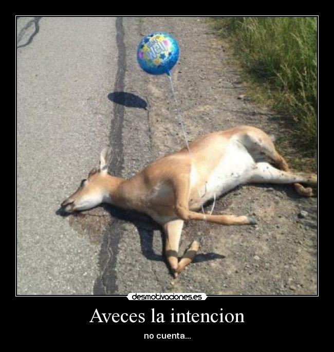 Aveces la intencion - no cuenta...