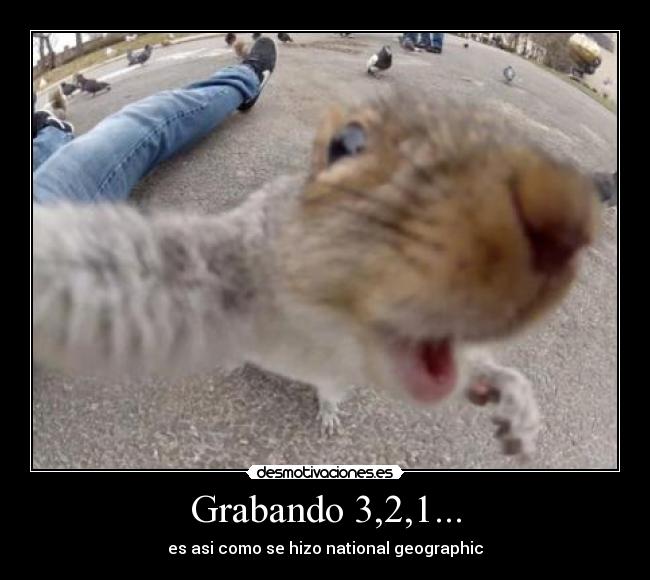 Grabando 3,2,1... - es asi como se hizo national geographic