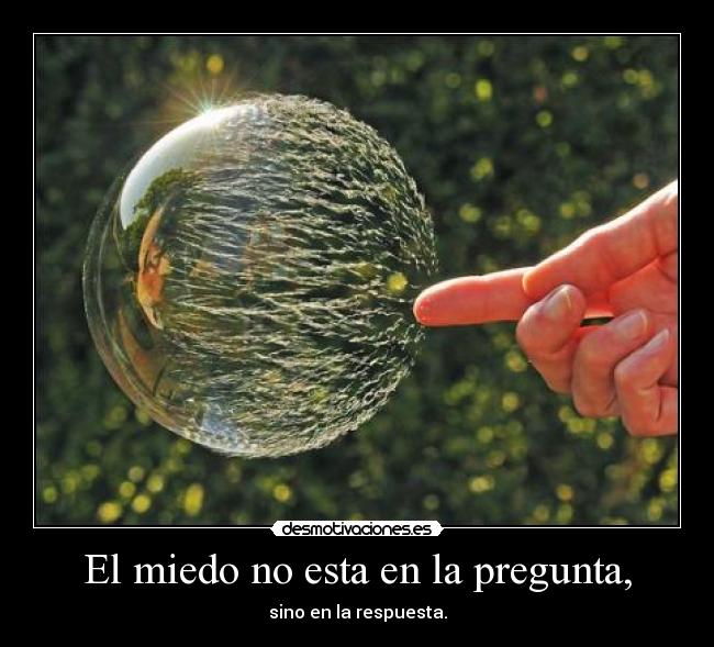 El miedo no esta en la pregunta, -