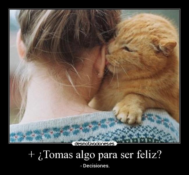 carteles decisiones desmotivaciones