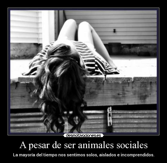 A pesar de ser animales sociales - 