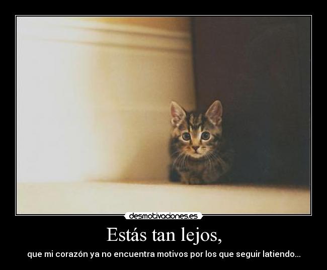 Estás tan lejos, - que mi corazón ya no encuentra motivos por los que seguir latiendo...