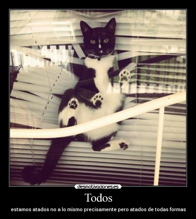 carteles ataduras que nos impiden continuar dosguiond desmotivaciones