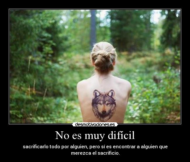 carteles wolf drackjuliio desmotivaciones