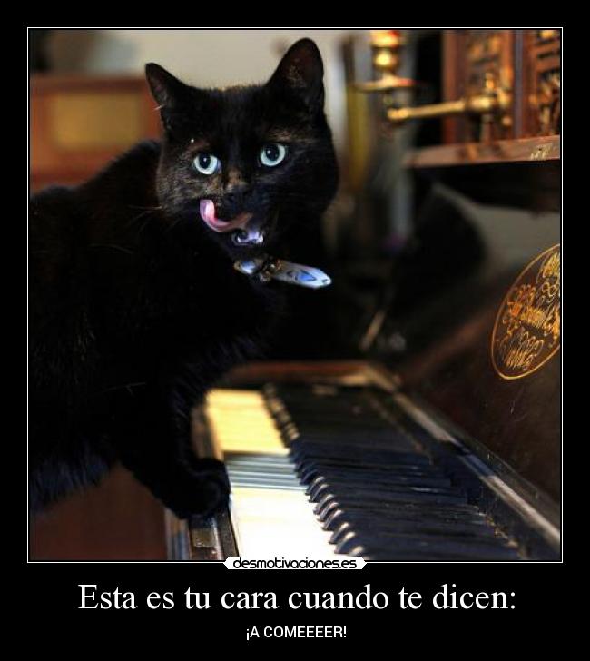 Esta es tu cara cuando te dicen: - 